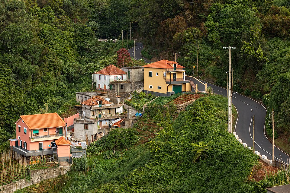 Estrada entre a vegetação e as montanhas da Madeira
