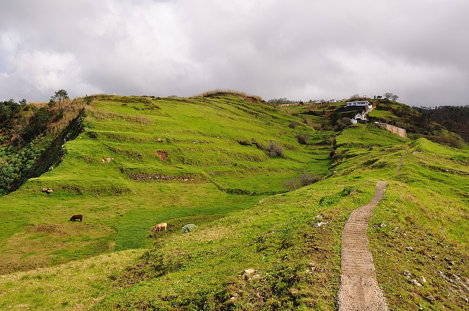 Caminho verde na paisagem rural da Madeira